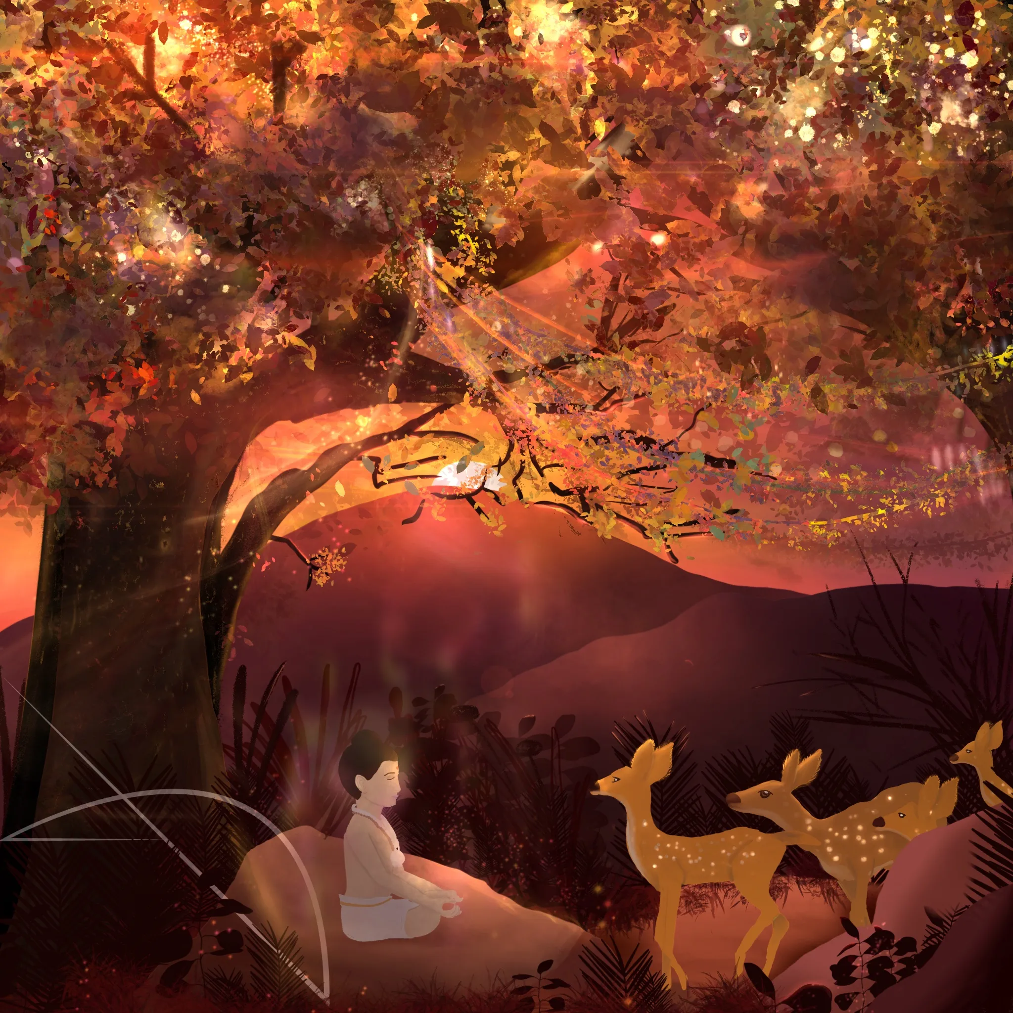 Yogi's interaction with deer