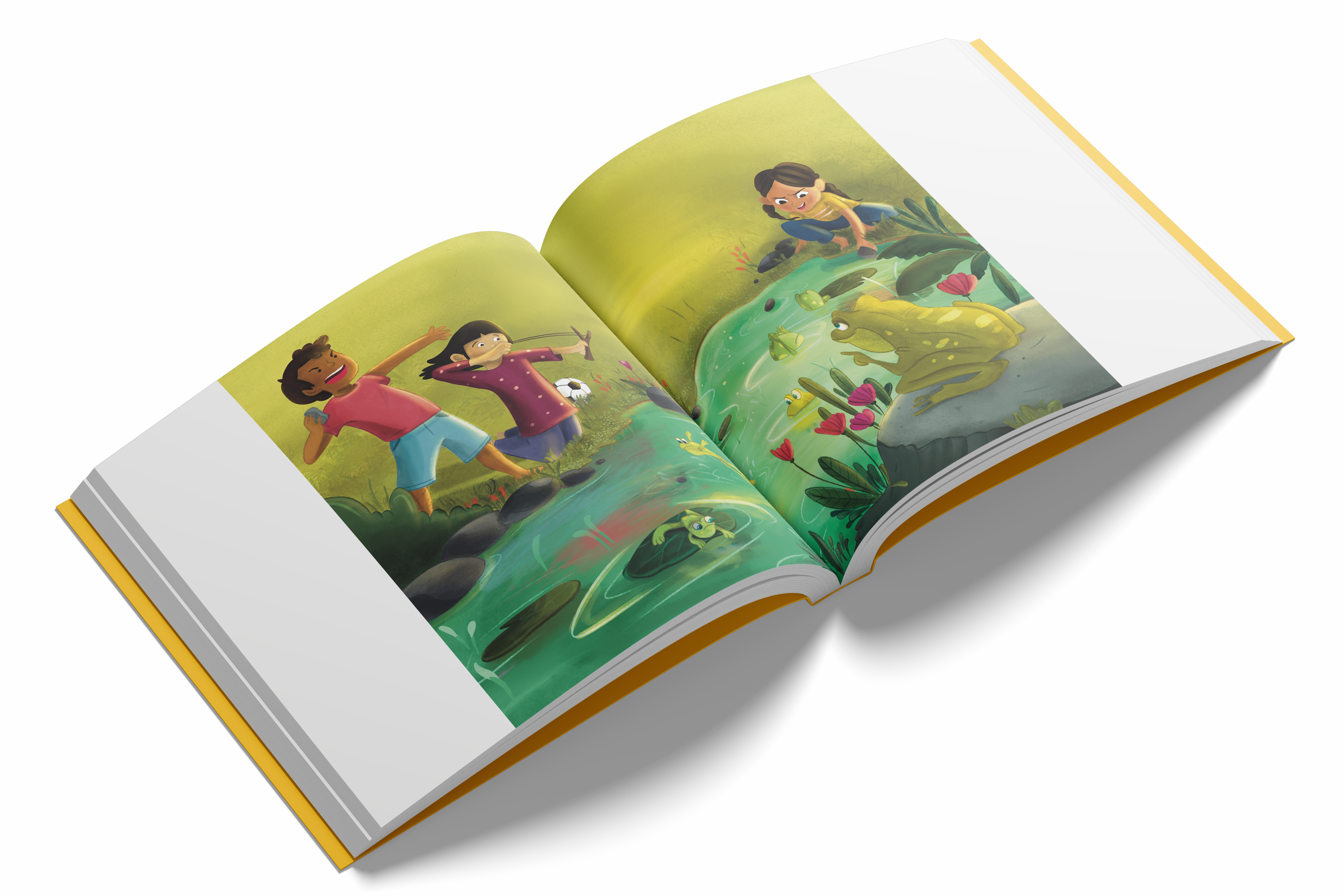 The Frog Story